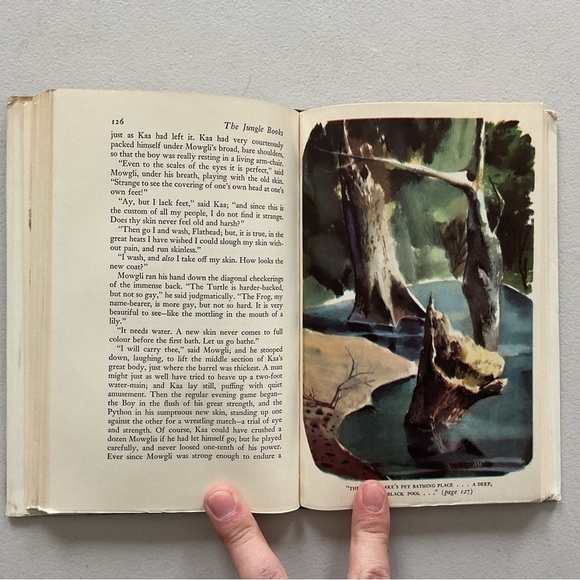 The Jungle Books by Rudyard Kipling Vintage Hardcover Books - Picture 4 of 10
